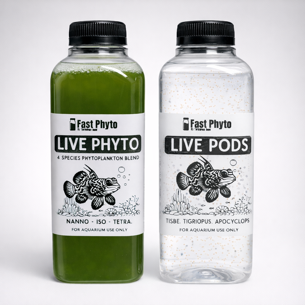 Live Pods & Phyto Combo