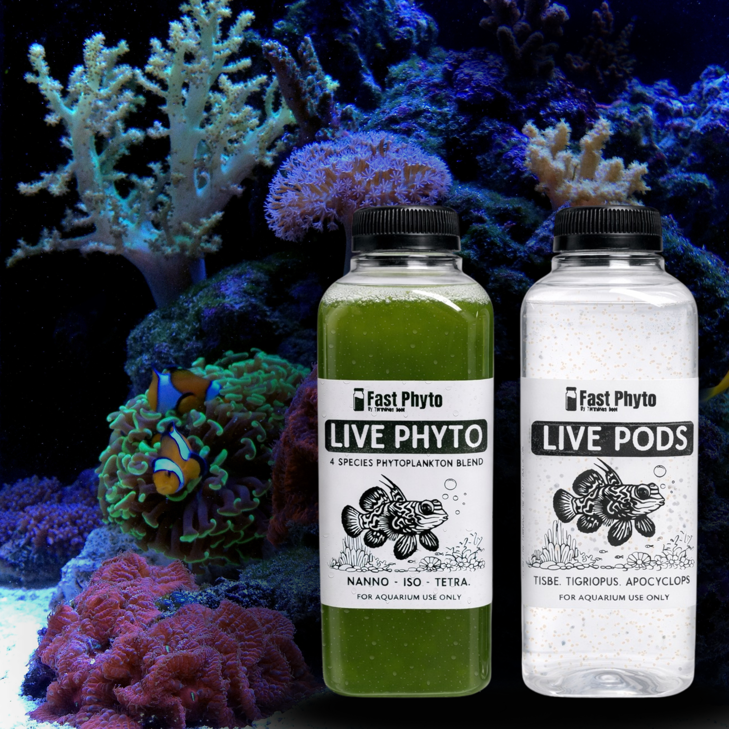 A bottle of Terminus Reef Phytoplankton and Copepods