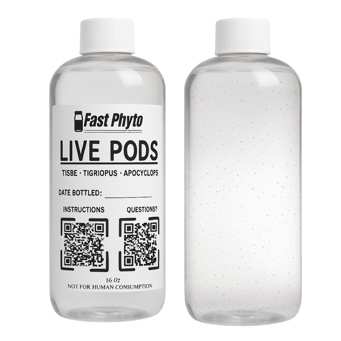 Two bottles of copepods by Terminus Reef. 