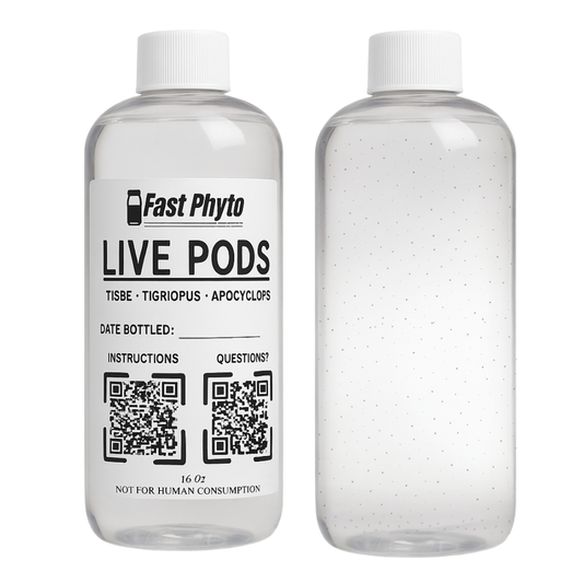 Two bottles of copepods by Terminus Reef. 