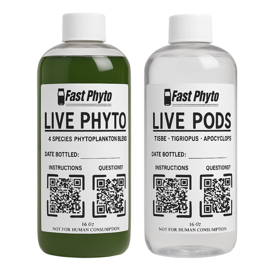 Two bottles of Fast Phyto Live Phyto and Live Pods products on a white background