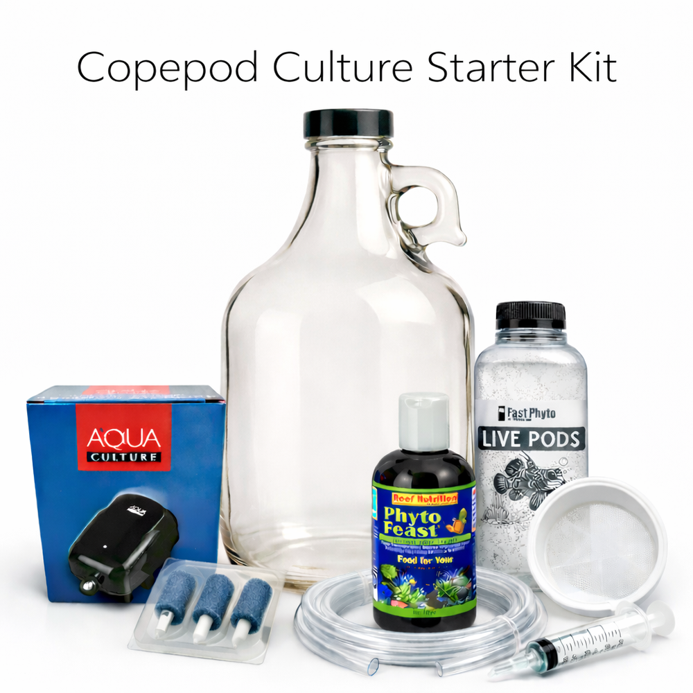 Copepod Culture Starter Kit with various components on a white background