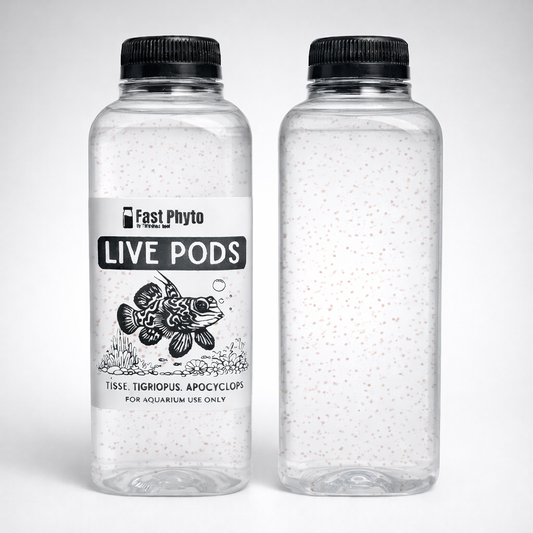 Live Copepod Mix