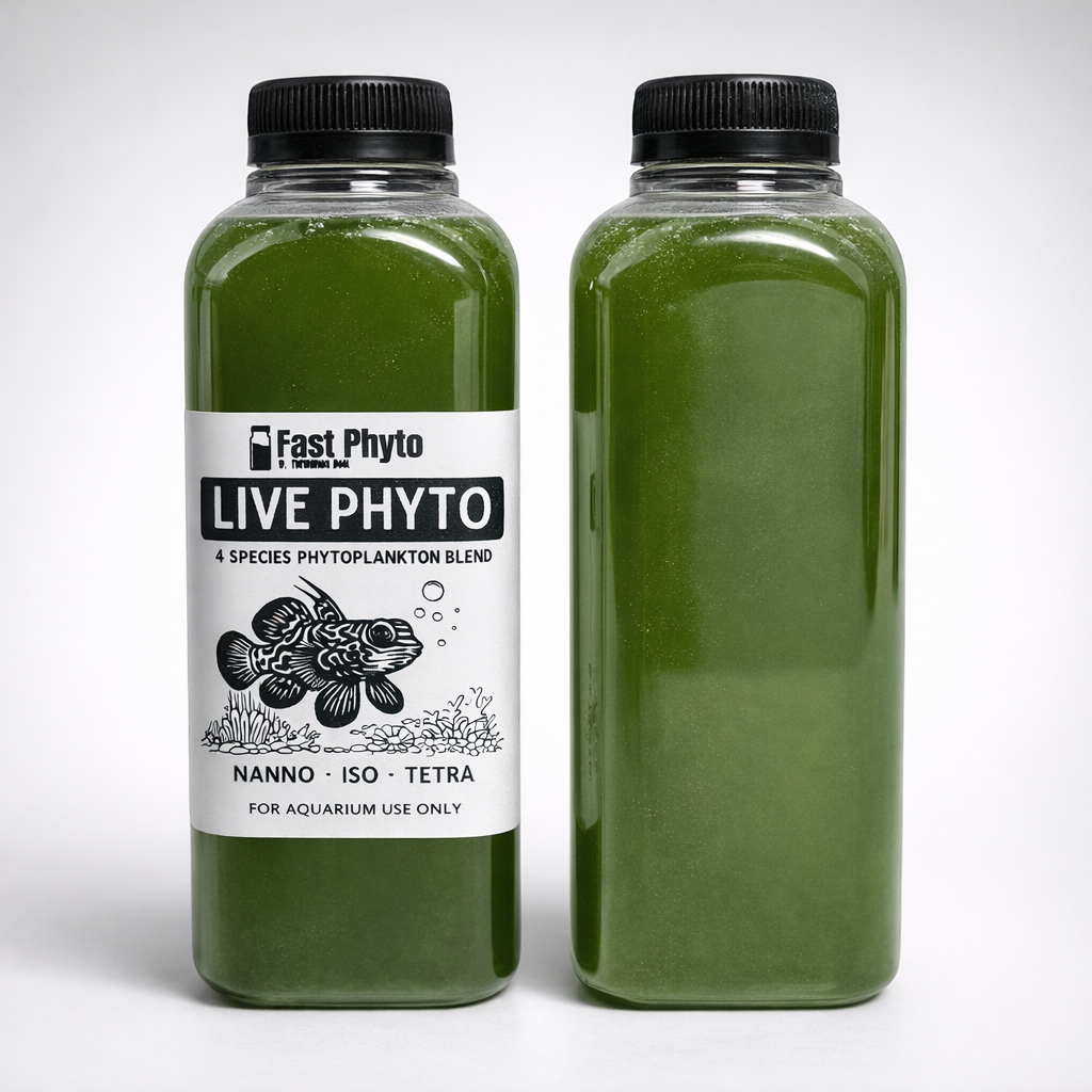 Live Phyto Blend