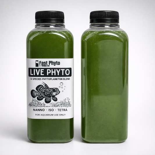 Live Phyto Blend