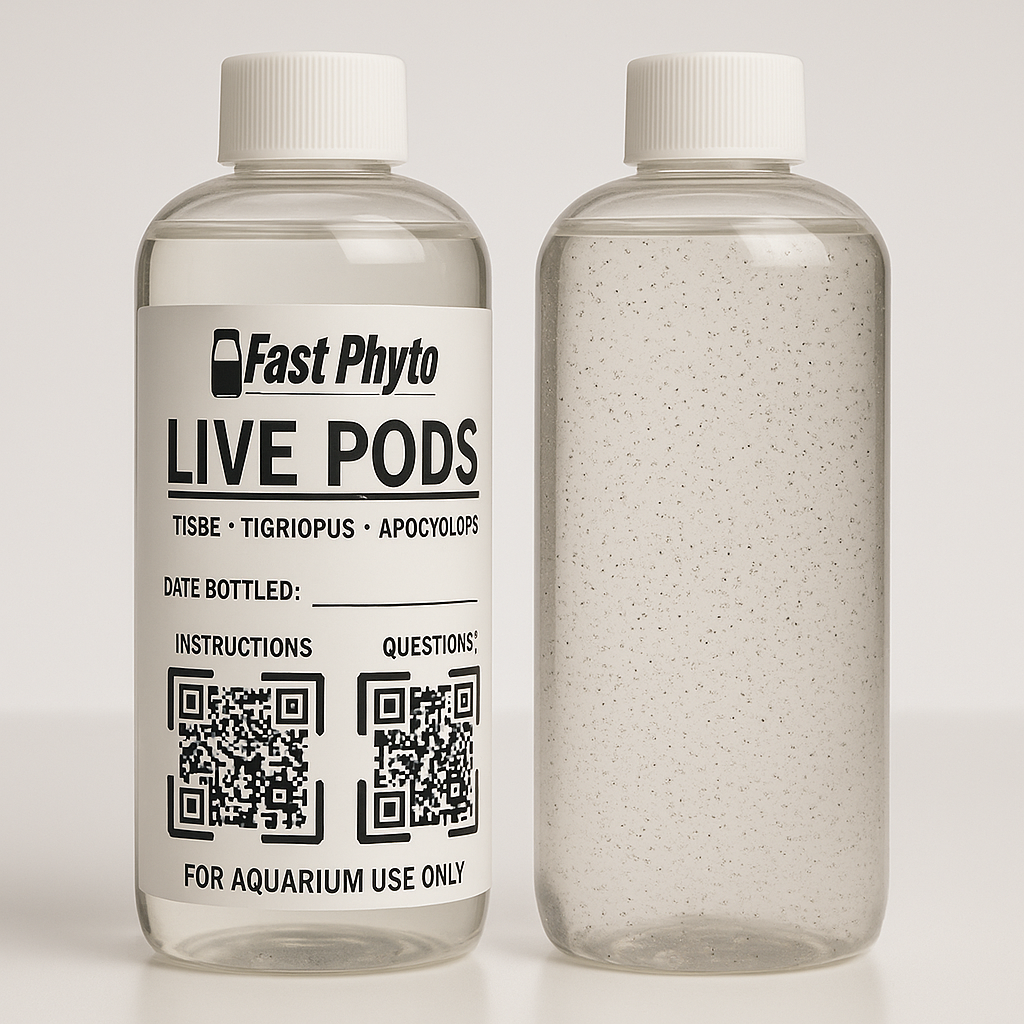 Two bottles of Fast Phyto Live Pods with labels and QR codes on a light gray background