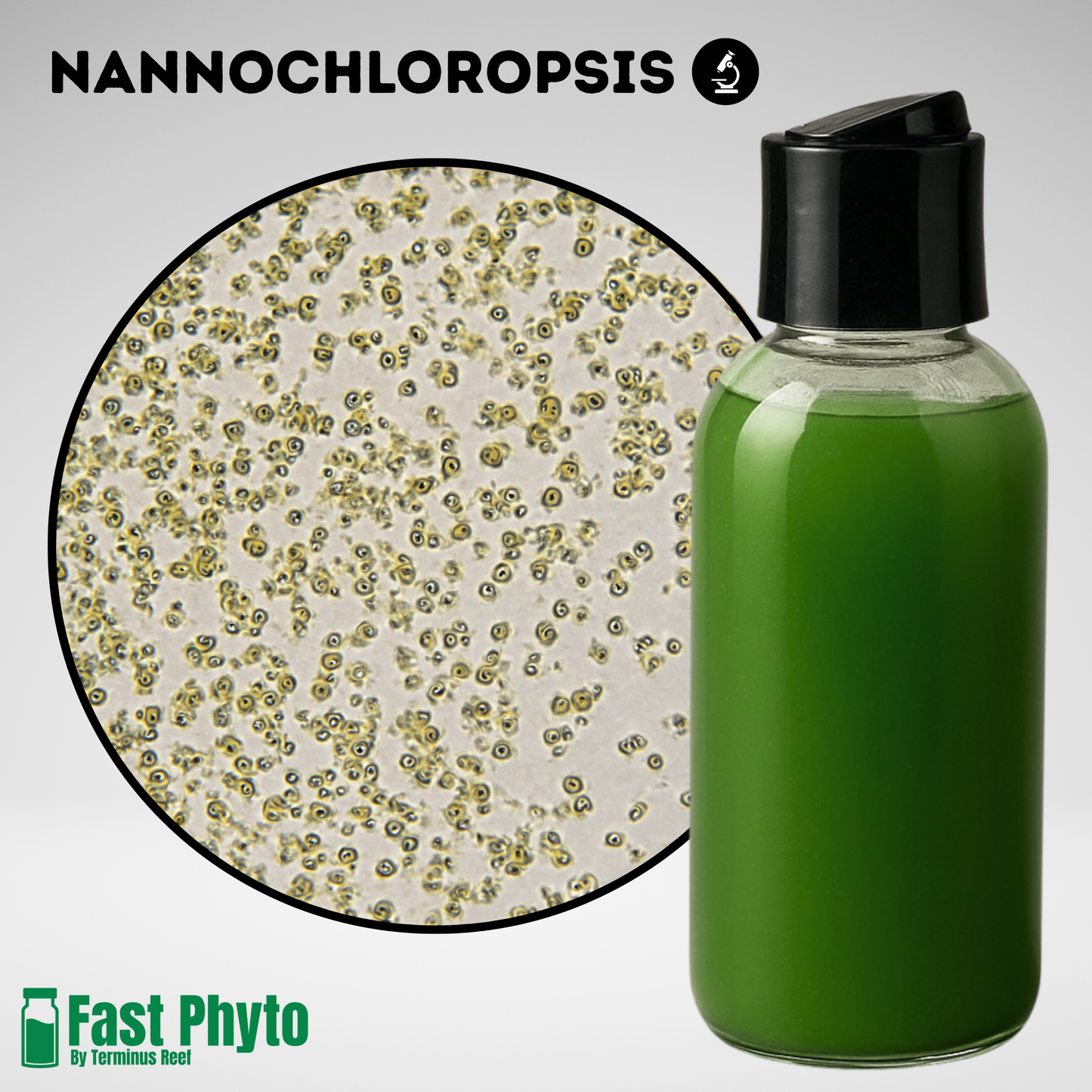 Green bottle with black cap next to an inset image of microorganisms labeled 'Nannochloropsis' on a light gray background.