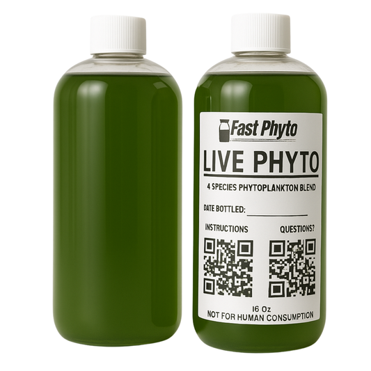 Two green bottles labeled 'Fast Phyto Live Phyto' on a white background