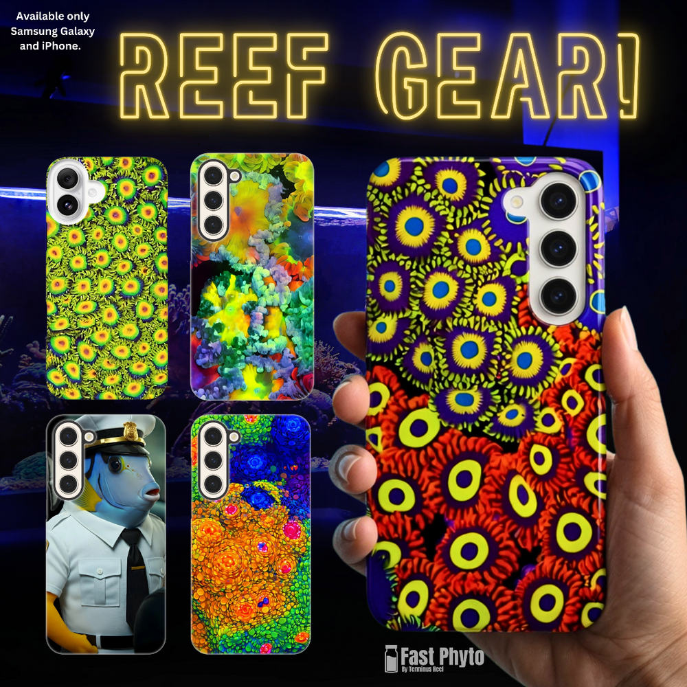 Colorful phone case with a hand holding it, featuring a 'Fast Phyto' brand logo on a dark background.
