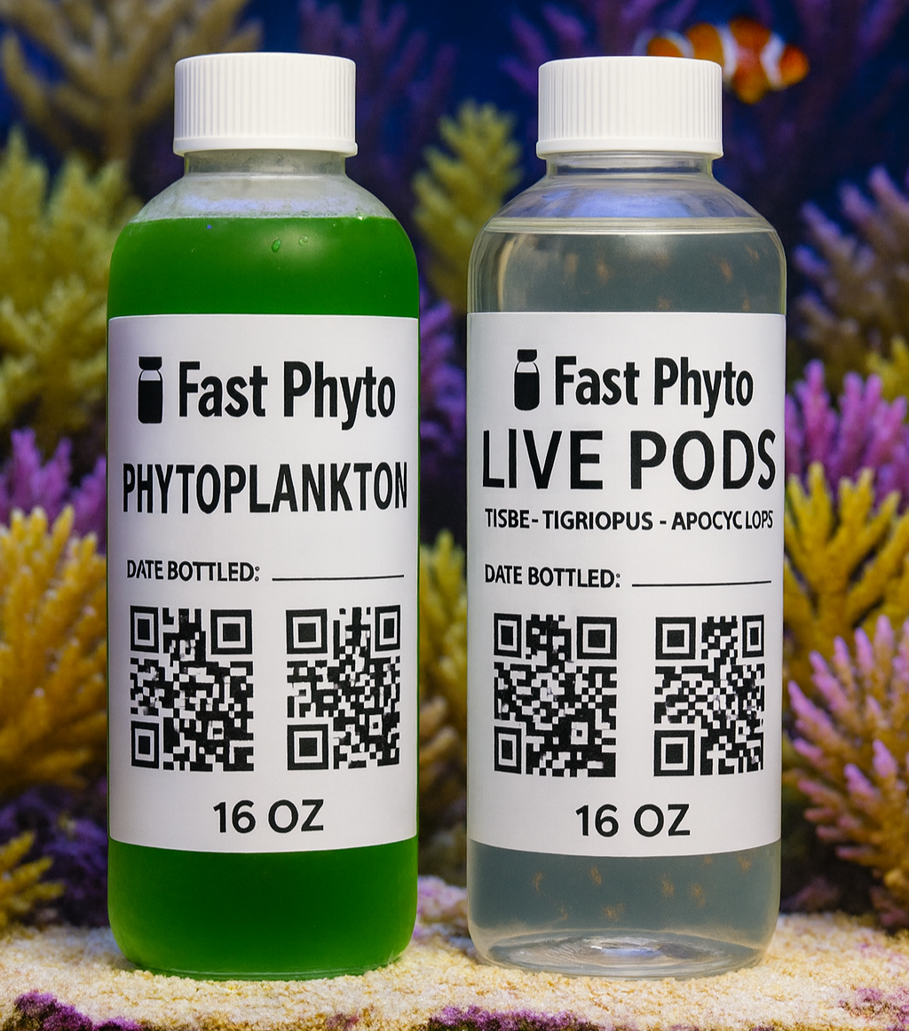 Two bottles of Fast Phyto products with aquarium background