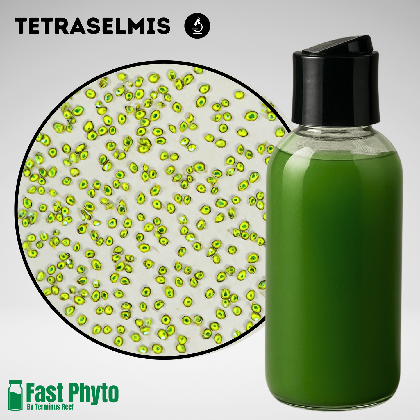 Green bottle with black cap next to an inset showing green algae cells, with 'TETRASELMIS' and 'Fast Phyto' branding.