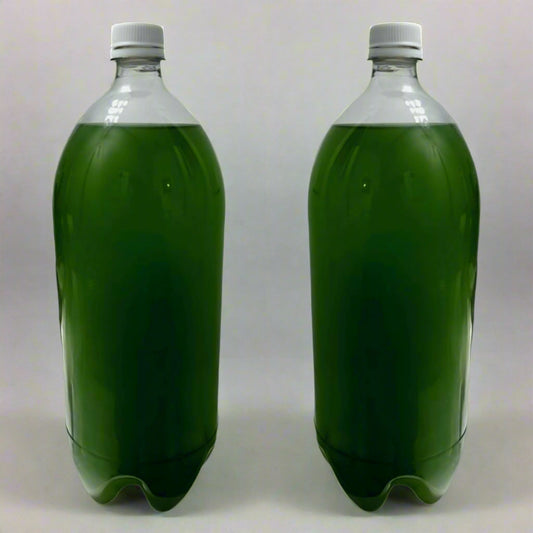 Premium Phytoplankton Blend 2 Liter Bottle